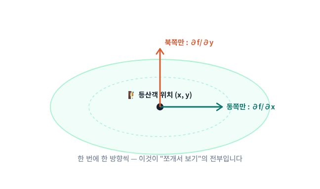 (시각화 2) 2차원 산에서 동쪽만 ∂f/∂x, 북쪽만 ∂f/∂y — 한 번에 한 방향씩 쪼개서 보기