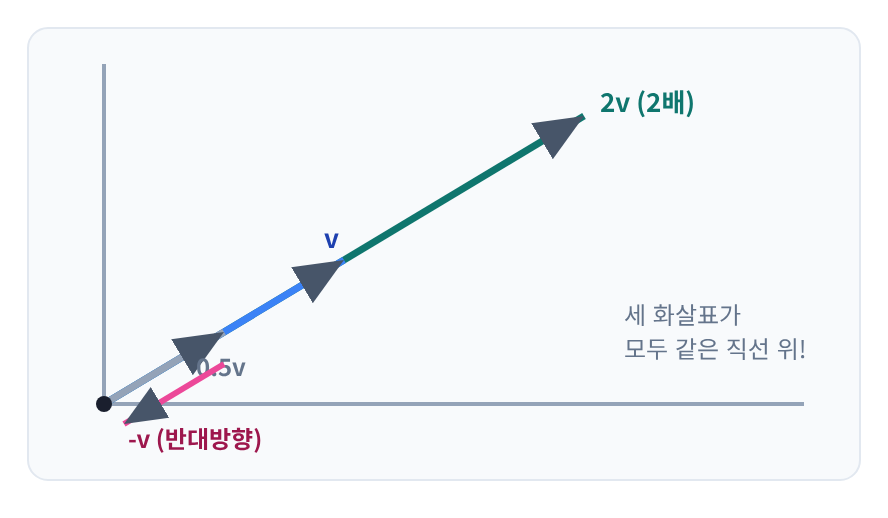 시각화 ⑤ — 방향은 유지, 길이만 변화