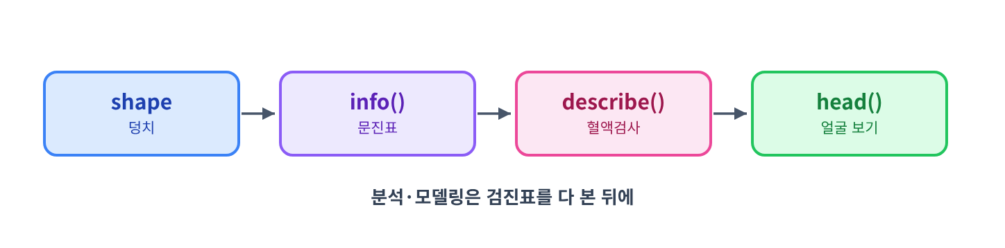 (시각화) 데이터 건강검진 순서 — shape(덩치) → info()(문진표) → describe()(혈액검사) → head()(얼굴 보기)
