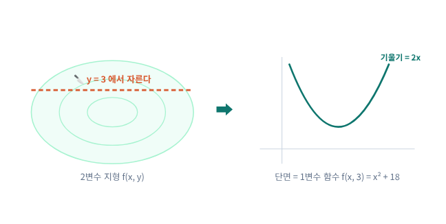 (시각화 3) y = 3에서 자르면 단면은 1변수 함수 f(x, 3) = x² + 18, 기울기 = 2x
