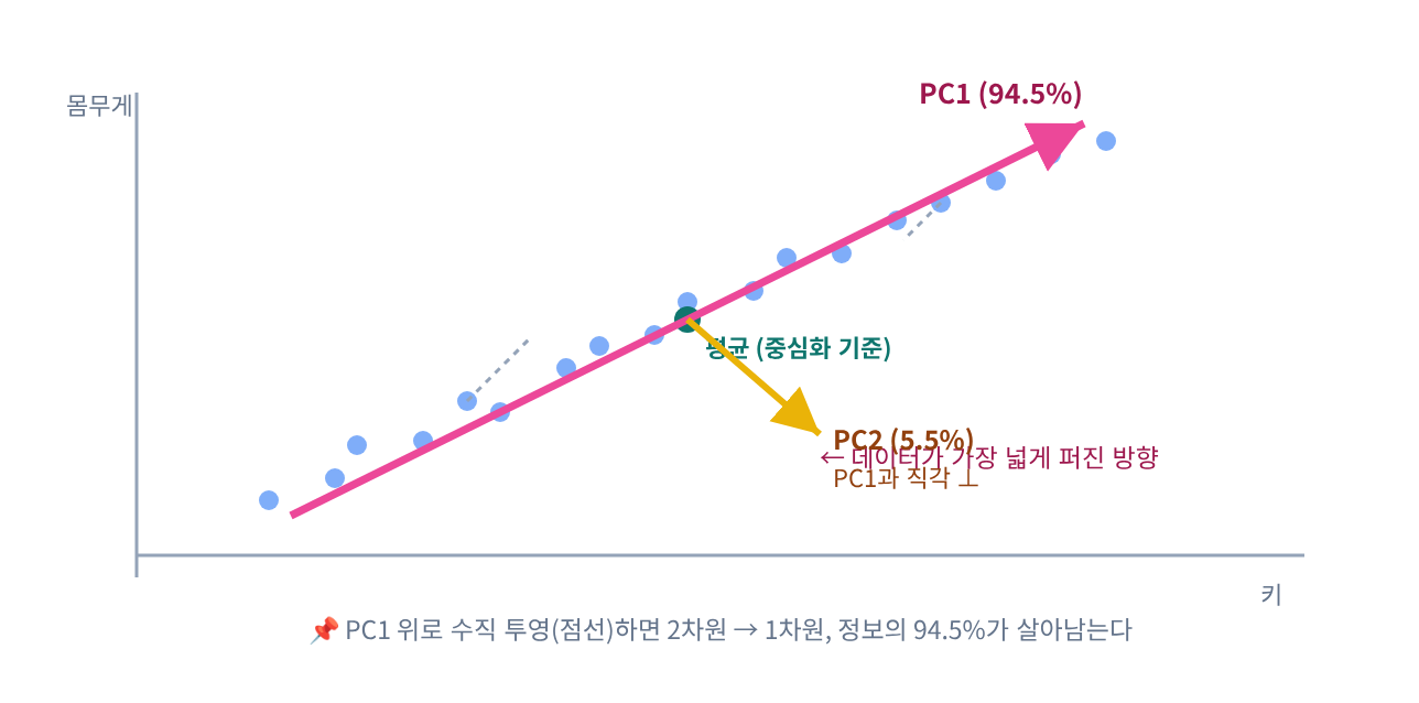 📐 시각화 ⑤ — 주성분 방향과 투영