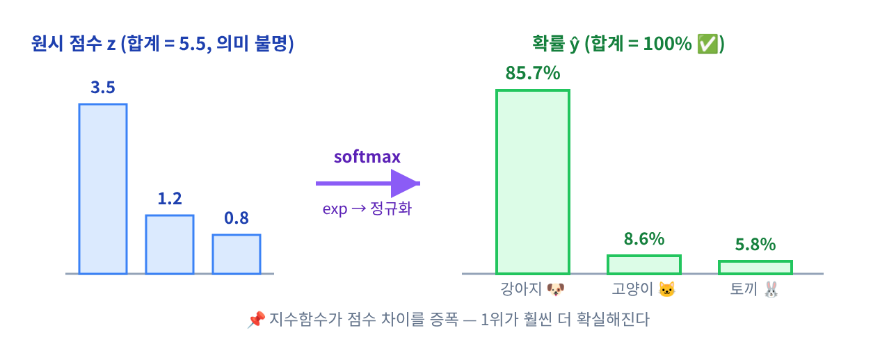 📐 시각화 ⑧ — 원시 점수가 확률로 바뀌는 모습