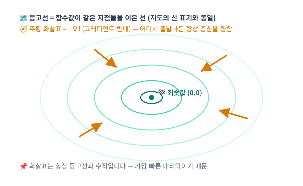 📐 시각화 ④ — 등고선과 그래디언트 벡터장