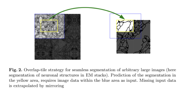 U Net Convolutional Networks For Biomedical Image Segmentation