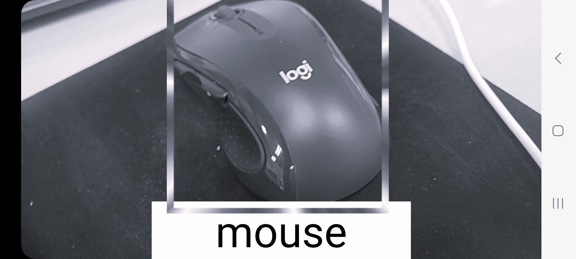 Mouse