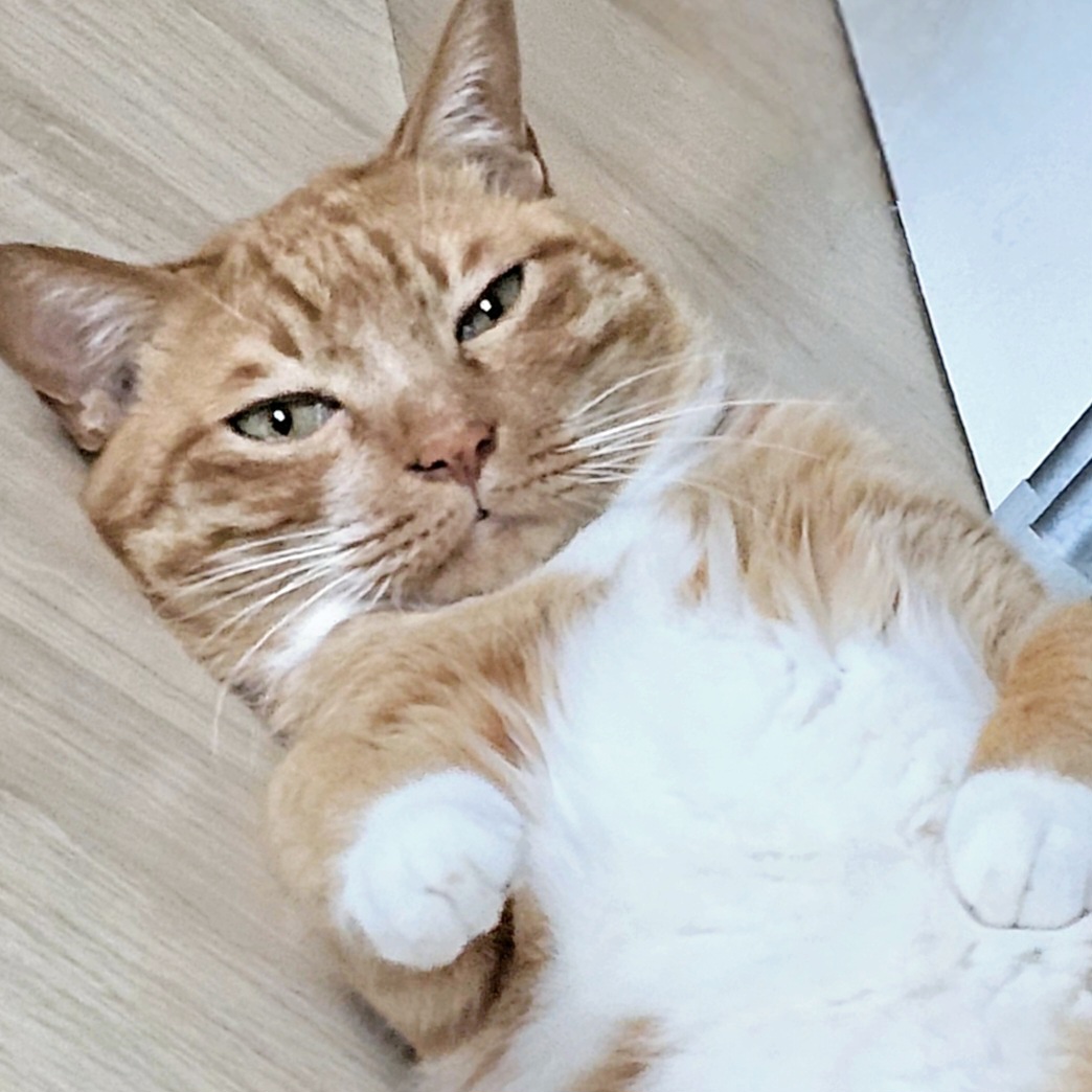 comment-user-thumbnail