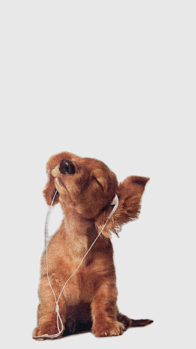 comment-user-thumbnail