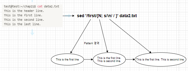 Bash Sed Replace Character With Newline