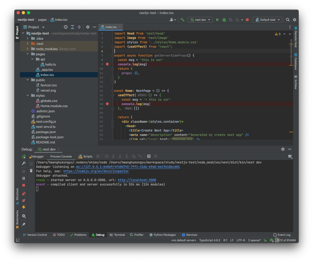 Intellij IDEA Ultimate, Webstorm Next.js Debug