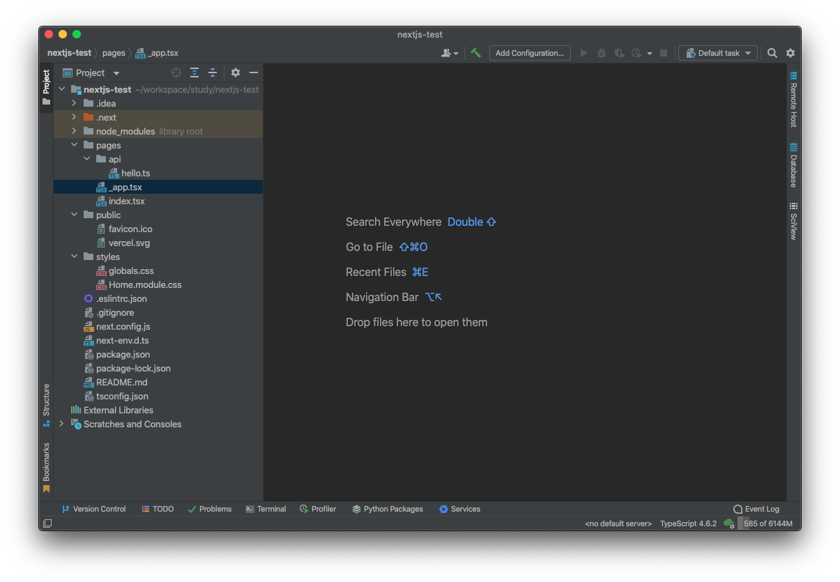 intellij-idea-ultimate-webstorm-next-js-debug