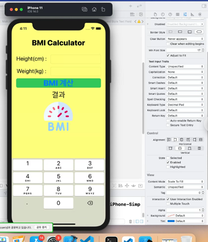 iOS 프로그래밍 12주차