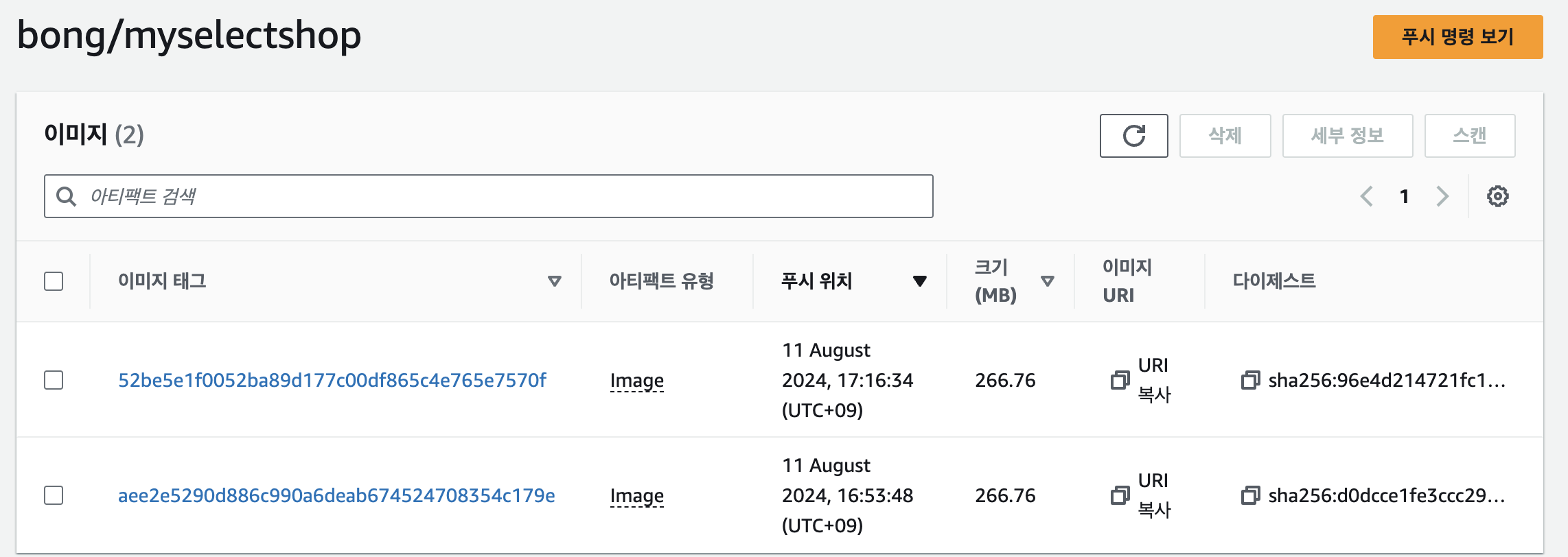 ECR, ECS, github actions 이용기