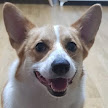 comment-user-thumbnail