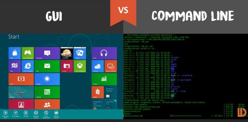 Linux & Terminal