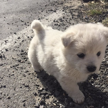 comment-user-thumbnail