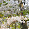 comment-user-thumbnail