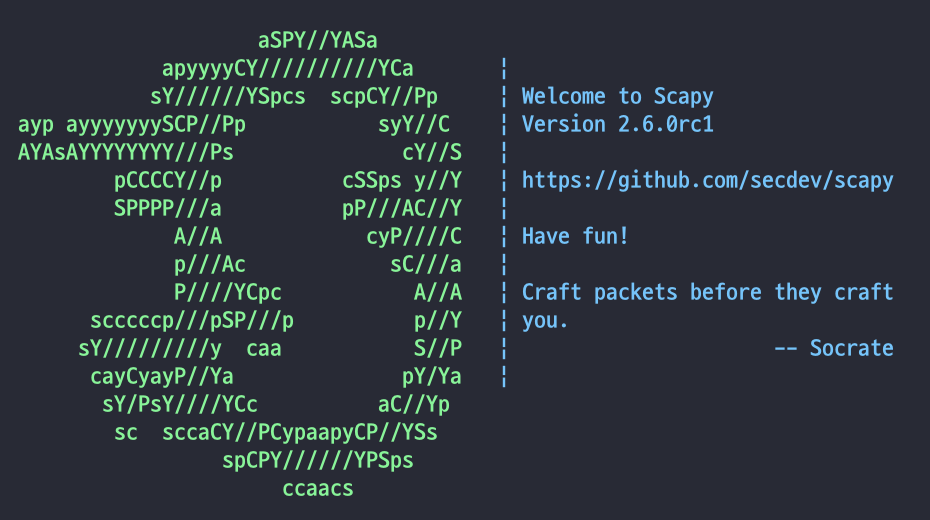[Network Security] M1 파이썬 설치 및 Scapy, PyCrpyto import