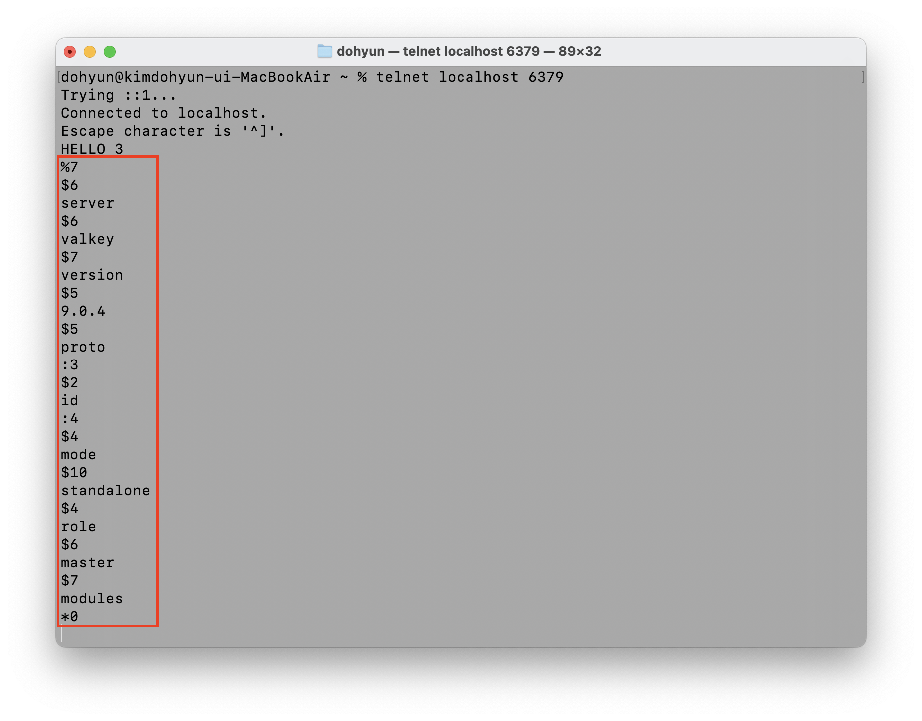 RESP(Redis Serialization Protocol) 실습하기
