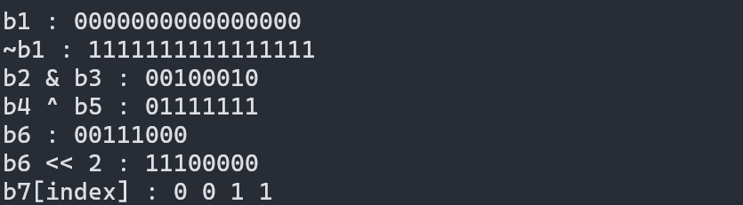 'C++' std::bitset
