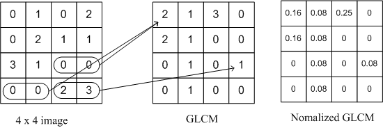 [영상처리] GLCM