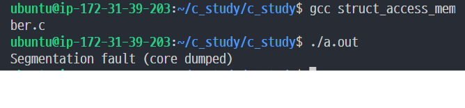 segmentation fault (core dumped)