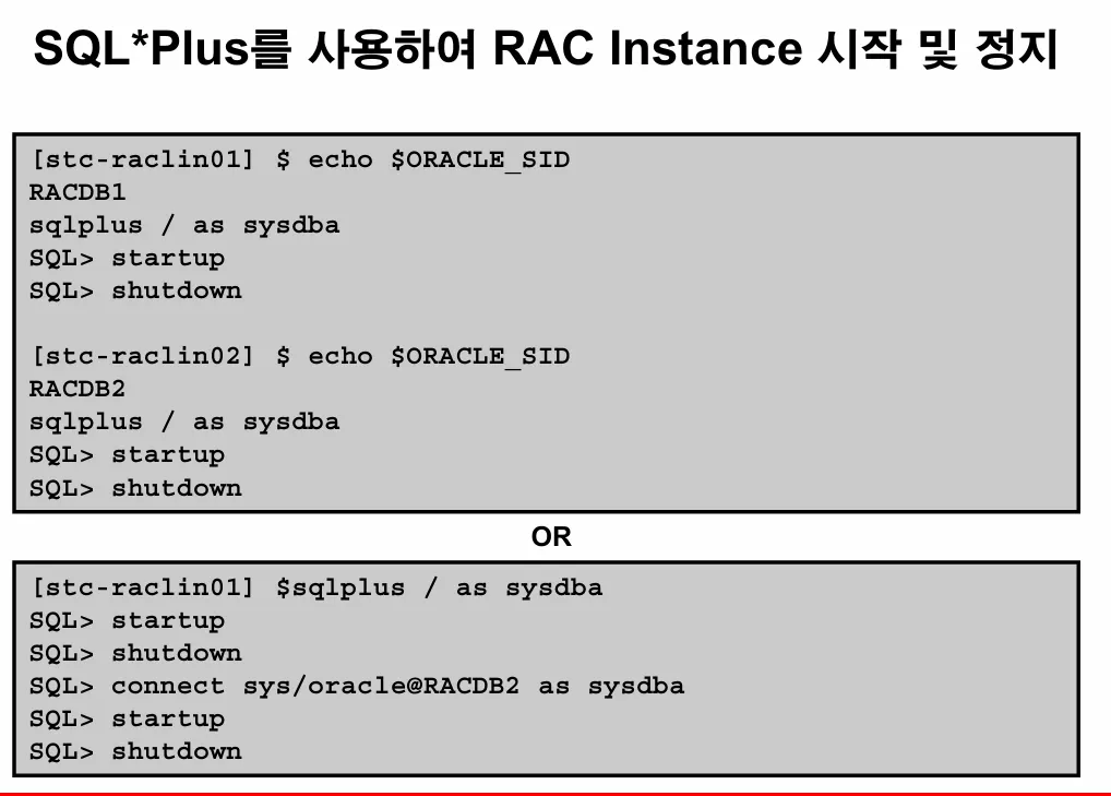 [Oracle] srvctl 명령어로 RAC 인스턴스 올리고 내리기 1