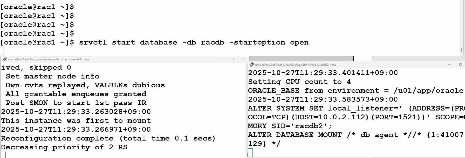[Oracle] srvctl 명령어로 RAC 인스턴스 올리고 내리기 1