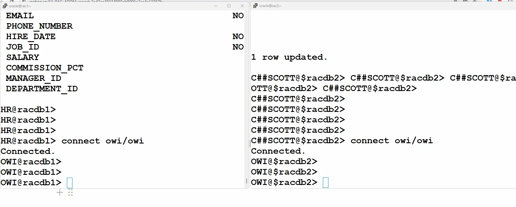 [Oracle] RAC 환경에서 ADDM report 생성하기