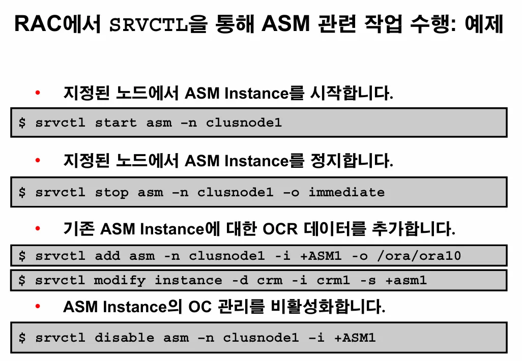 [Oracle] srvctl 명령어로 ASM 인스턴스 관리하기