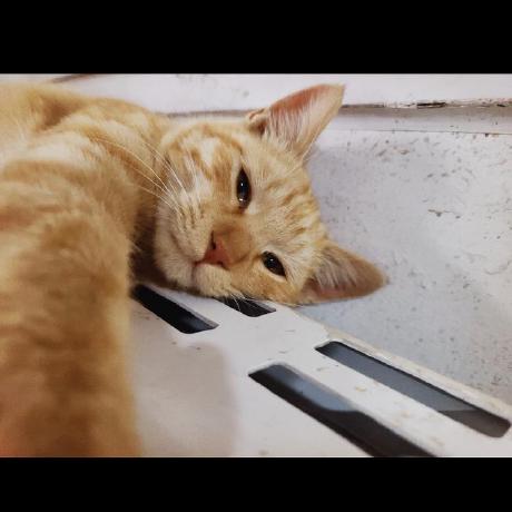 comment-user-thumbnail