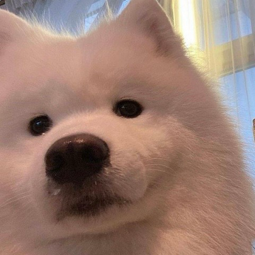 comment-user-thumbnail
