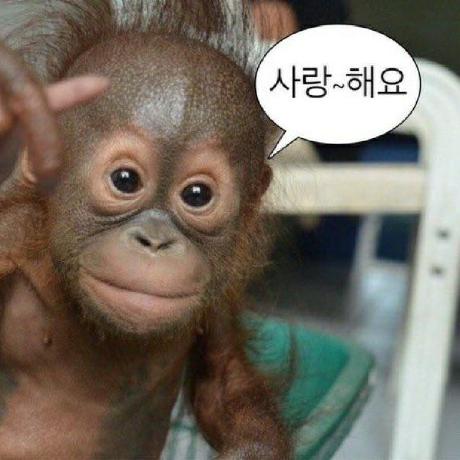 comment-user-thumbnail