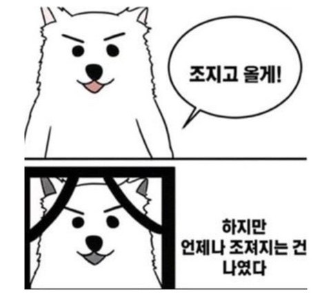 조짐당했다 짤방