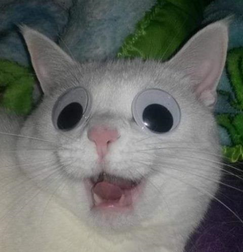 comment-user-thumbnail