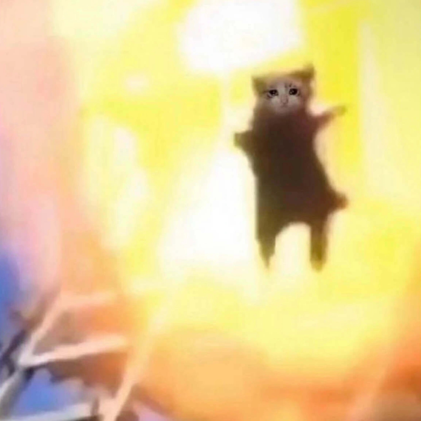 comment-user-thumbnail