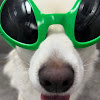 comment-user-thumbnail