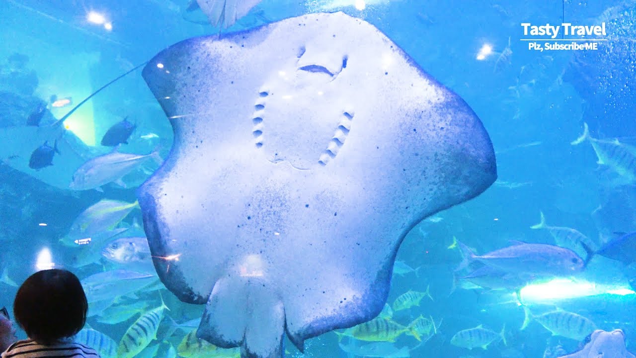comment-user-thumbnail
