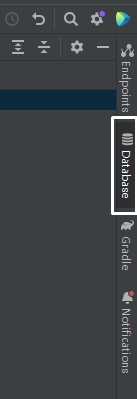 [IntelliJ] IntelliJ와 Sql developer 연결하기 (Oracle Wallet 이용)