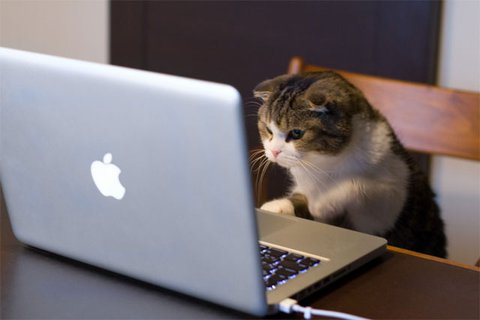 comment-user-thumbnail
