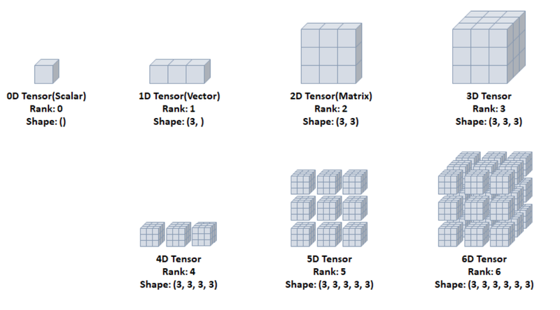 tensor per rank