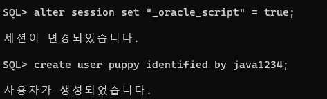 Oracle 설치 및 설정