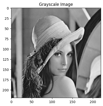 레나그레이스케일