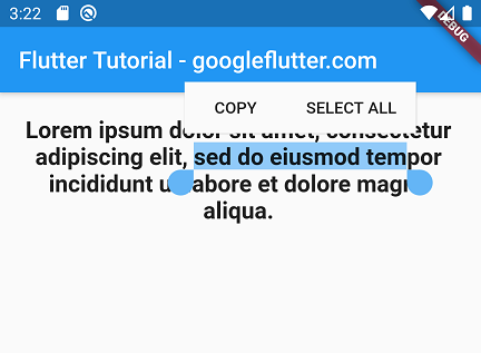 Copyable Aflutter 개인적인 Flutter 꿀팁 모음