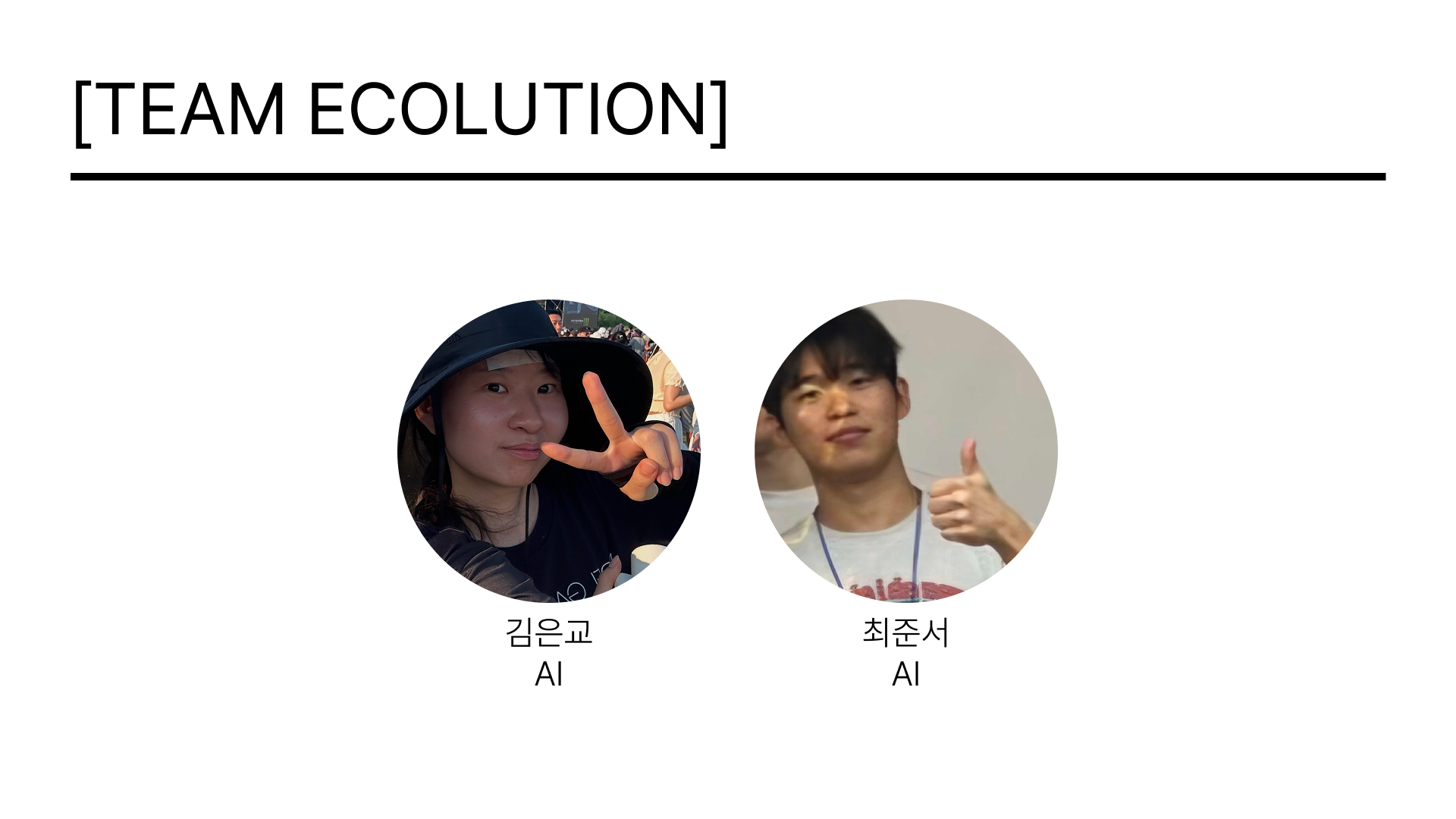 ecolution