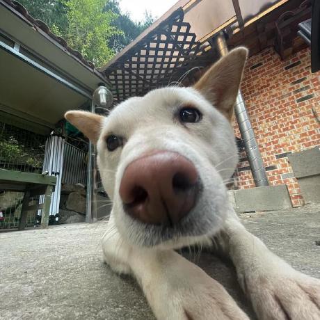 comment-user-thumbnail