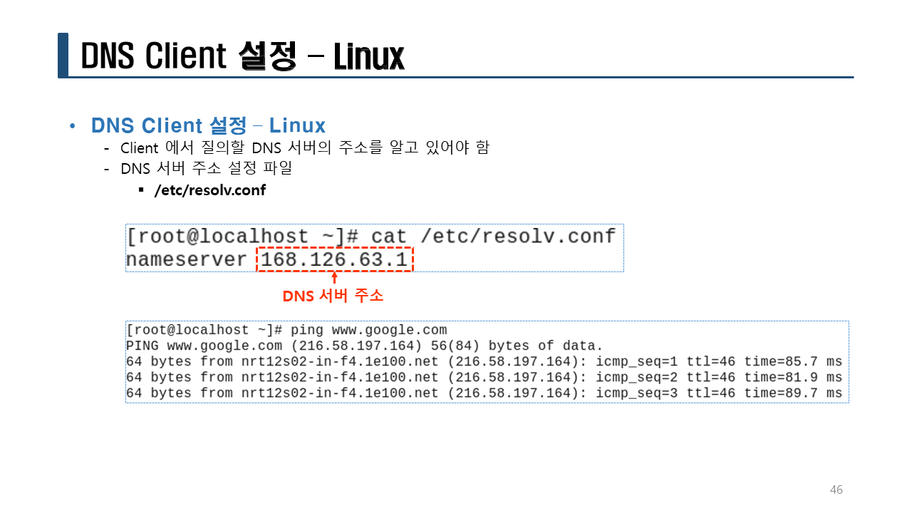 SW 개발 보안 구축/DNS 서버/도메인 질의/네임서버에 도메인 등록하기/도메인추가하기/스크립트 (교육 43일, 44일차)