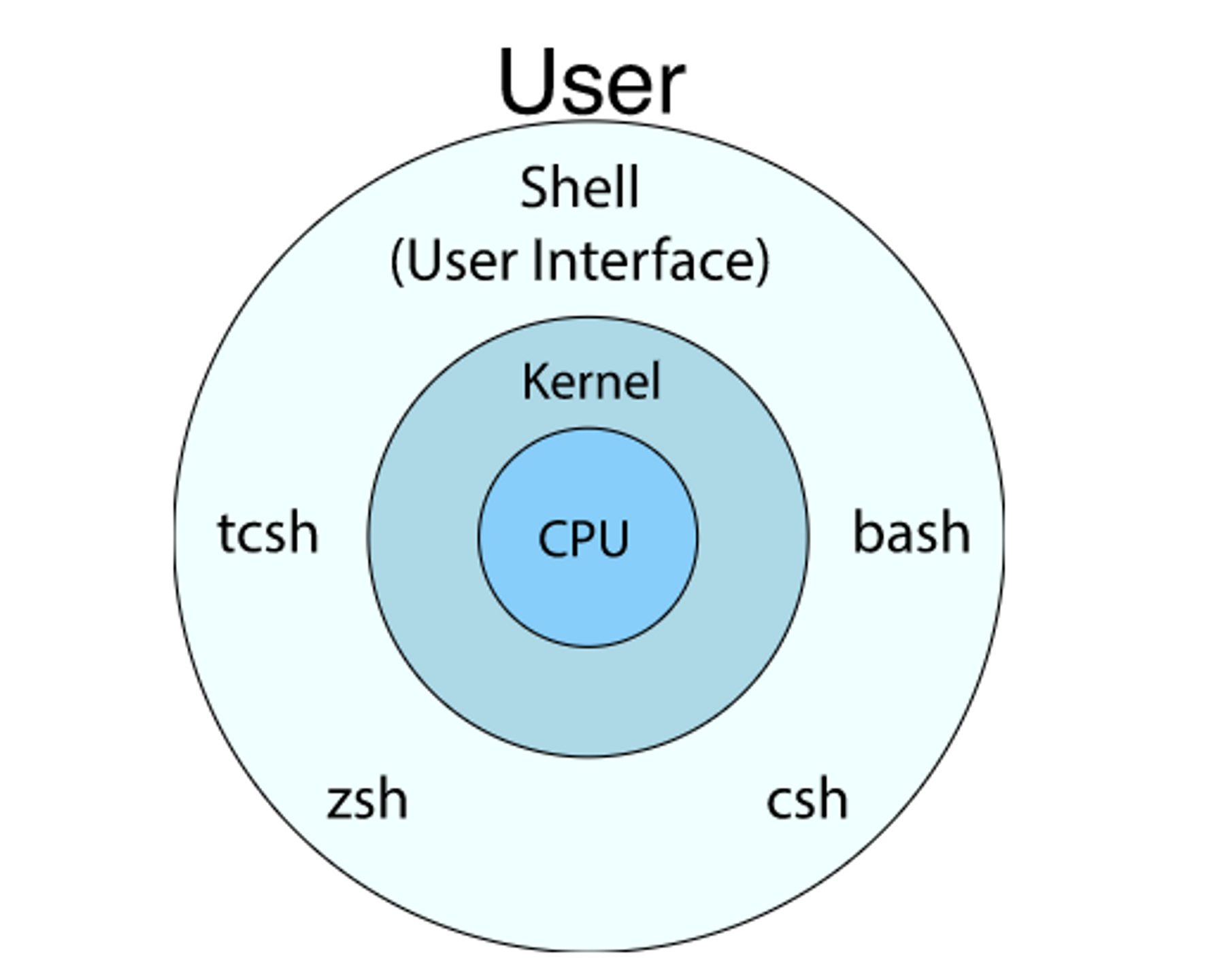 8/1 Linux & Terminal