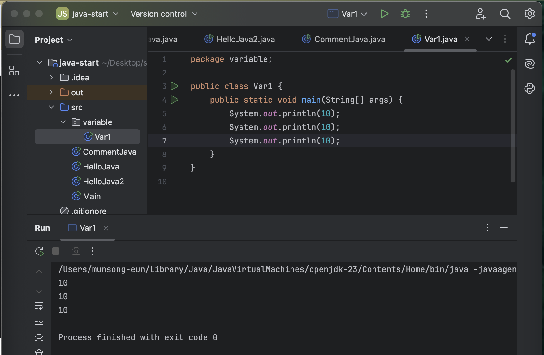 [Java] Variable
