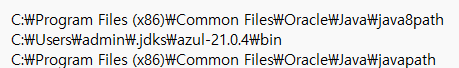 java version 다르게 뜨는 오류
