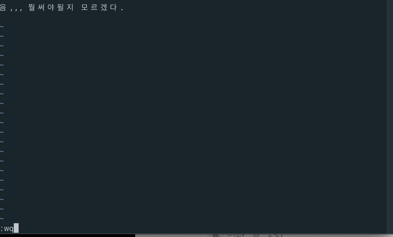 TIL 12. Linux & Terminal (2)